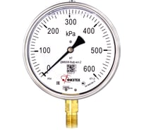Манометр Физтех ДМ8008-ВУф исп 2 0-600 кПа кт.1, d.160 IP54, M20x1.5 РШ ВуСл 4687205455161