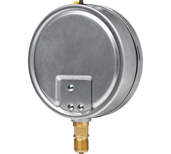 Манометр Физтех ДМ8008-ВУф исп 2 0-60 МПа, кт.1, d.160 IP54, M20x1.5 РШ ВуСл 4687205455260