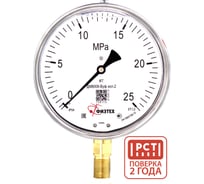 Манометр виброустойчивый Физтех ДМ8008-ВУф исп 2 0-25 МПа кт.1,0 d.160 IP54 M20x1,5 РШ, Силикон 4687205455246