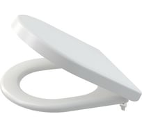 Сиденье для унитаза Alca Plast микролифт, дюропласт A674S 023-6257