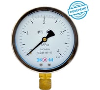 Манометр ЭКО-М Экомера (Гидрозаполненный) МД93-100-G-4МПа