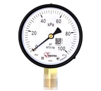 Манометр технический ПО Физтех, АО МП3-Уф 0-100 кПа кт.1,5 d.100 IP40 G1/2 РШ 4687205628268