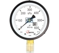 Манометр технический ПО Физтех, АО МП3-Уф 0-600 кПа кт.1,5 d.100 IP40 G1/2 РШ 4687205629036