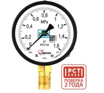 Манометр технический Физтех МП3-Уф 0-1,6 МПа кт.1,5 d.100 IP40 G1/2 РШ 4687205628114