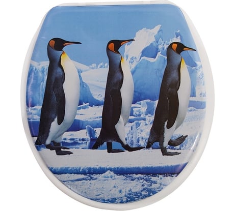 Сиденье для унитаза Аквалиния Мы идем на Север SK-06041