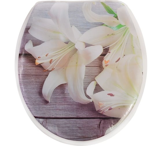 Сиденье для унитаза Аквалиния Лилии SK-S8178 1