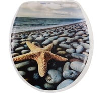 Сиденье для унитаза Аквалиния Морская звезда SK-06017