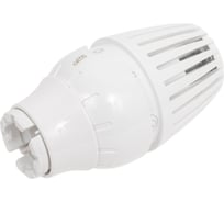 Элемент термостатический Giacomini жид/нап, 8-32C R460x001 022-0783