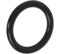 Прокладка EPDM кольцевая Giacomini Дн15 P51RN P51RNY005 128-3393