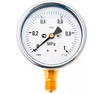 Манометр виброустойчивый DN.ru МВР-1 (0-0.6МПа) ДК 63мм, G1/4, нерж., класс точности 1.5 D070-07098