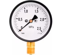 Радиальный манометр DN.ru МОР-1 (0-0.6МПа) ДК 63мм, G1/4, пластик, класс точности 1.5 D070-07135