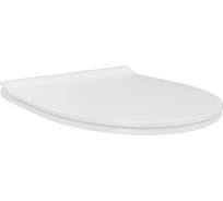 Сиденье для унитаза Teymi S40809 (совместимо T40809) быстросъемное, полипропилен, микролифт ЦБ-00270281