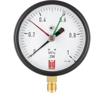 Манометр BD ДМ 1 Т2 160 Р 0-1 МПа, кл.1.5, M20x1.5 1131100004