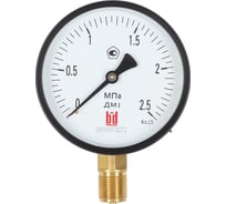 Манометр BD ДМ 1 Т2 250 Р 0-2.5 МПа, кл.1.5, М20х1.5 1131100007
