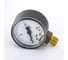 Манометр вертикальный Watts 63-1/4-16bar F+R200 MRP 0318216 10007725 1