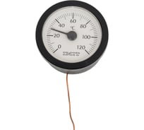 Термометр дистанционный Watts до120C, 10бар TC50/100 0300050 10005469