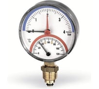 Термоманометр вертикальный Watts 80- 1/2-120C- 4bar F+R828 (TMRP) 0333004 (10025526) 10009473