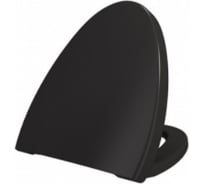 Сиденье с крышкой Bocchi Etna дюропласт, плавное опускание, черный A0325-005