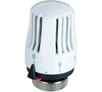 Термоголовка FIV 9645P500