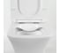 Сиденье дюропласт BelBagno MARMI soft close, металлическое крепление BB052SC 12