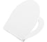 Сиденье BelBagno с LED подсветкой, дюропласт, soft close, металлическое крепление BB216QSC 1