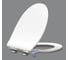 Сиденье BelBagno с LED подсветкой, дюропласт, soft close, металлическое крепление BB216QSC 4