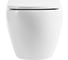 Сиденье дюропласт BelBagno soft close, металлическое крепление BB2031SC 6