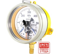 Манометр электроконтактный взрывозащищенный ПО Физтех, АО ДМ2005ф Сг 1Exd исп V 0-600 кПа кт.1,5 d.160 IP54 M20_1,5 РШ 4687205623171