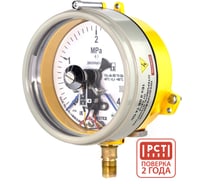 Манометр электроконтактный взрывозащищенный Физтех ДМ2005ф Сг 1Exd исп V 0-4 МПа кт.1,5 d.160 IP54 M20_1,5 РШ 4687205623119