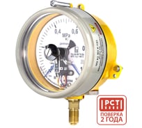 Манометр электроконтактный взрывозащищенный Физтех ДМ2005ф Сг 1Exd исп V 0-1 МПа кт.1,5 d.160 IP54 M20_1,5 РШ 4687205623027