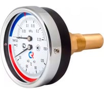 Термоманометр РОСМА ТМТБ-31T.1 (0-150С) (0-0.6МПа) ДК80 L=46, G1/2, класс точности 2.5 D070-00548