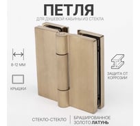 Петля для душевой кабины SERVICE PLUS стекло-стекло с крышками, брашированное золото, латунь H7903-BGD/brass