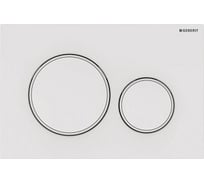 Смывная клавиша Geberit 115.882.11.1 Sigma20 двойной смыв, белый матовый УТ005745