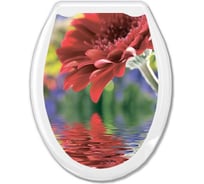 Жесткое сиденье для унитаза Океан Красная гербера белое 104-406-10