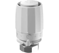 Термостатический элемент с присоединением Ридан М30x1,5 TR 8001 013G8001R