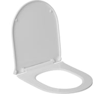 Сиденье для унитаза-моноблока WAVE STAR полипропилен, микролифт, белый глянец 555167