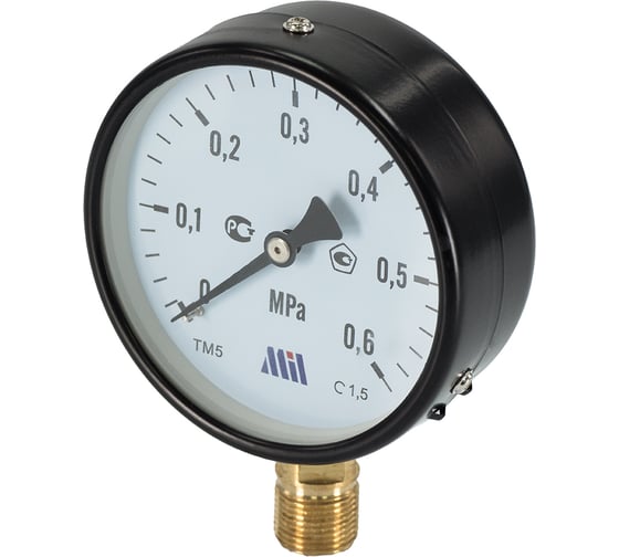 Манометр вертикальный Millennium 1/2" (100/ 6 бар) MVML1206100