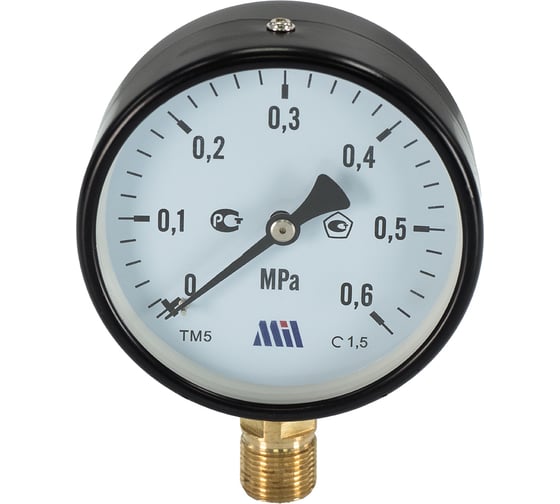 Манометр вертикальный Millennium 1/2" (100/ 6 бар) MVML1206100