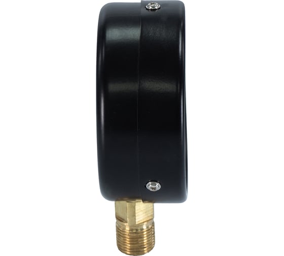 Манометр вертикальный Millennium 1/2" (100/ 6 бар) MVML1206100