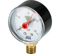 Манометр вертикальный Millennium 1/4" (50/16 бар) MVML141650