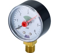 Манометр вертикальный Millennium 1/4" (50/ 6 бар) MVML140650