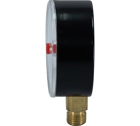 Манометр вертикальный Millennium 1/4" (50/ 6 бар) MVML140650