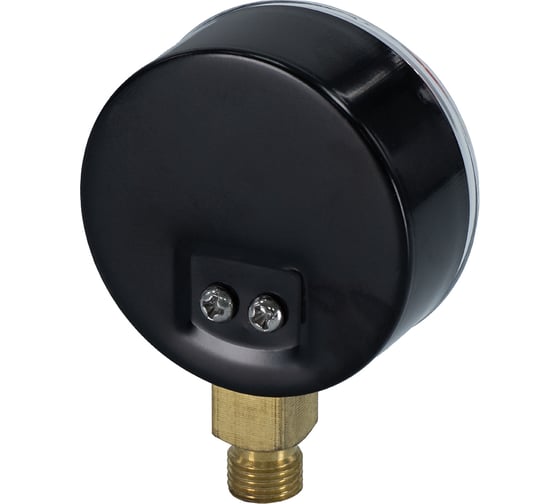 Манометр вертикальный Millennium 1/4" (63/10 бар) MVML141063