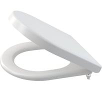 Сиденье для унитаза Alca Plast SOFTCLOSE дюропласт A67