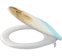 Сиденье для унитаза Alca Plast SOFTCLOSE универсальное, дюропласт A604 SHELL