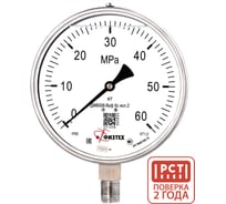 Манометр коррозионностойкий Физтех ДМ8008-ВУф Кс исп 2 0-60 МПа кт.1,0 d.160 IP65 M20_1,5 РШ SG, Глицерин 4687205724885