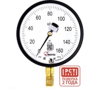 Манометр точного измерения Физтех МТИф 0-160 кПа кт.0,6 d.160 IP40 M20х1,5 РШ Корр.0 4687206463493