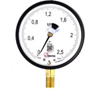 Манометр точного измерения ПО Физтех, АО МТИф 0-2,5 МПа кт.0,6 d.160 IP40 M20_1,5 РШ Корр.0 4687206463554