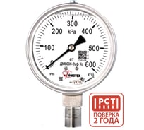 Манометр коррозионностойкий Физтех ДМ8008-ВУф Кс 0-600 кПа кт.1,0 d.100 IP65 M20_1,5 РШ SG, Силикон 4687205720894