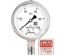 Манометр коррозионностойкий Физтех ДМ8008-ВУф Кс 0-100 кПа кт.1,0 d.100 IP65 M20_1,5 РШ SG, Силикон 4687206463639
